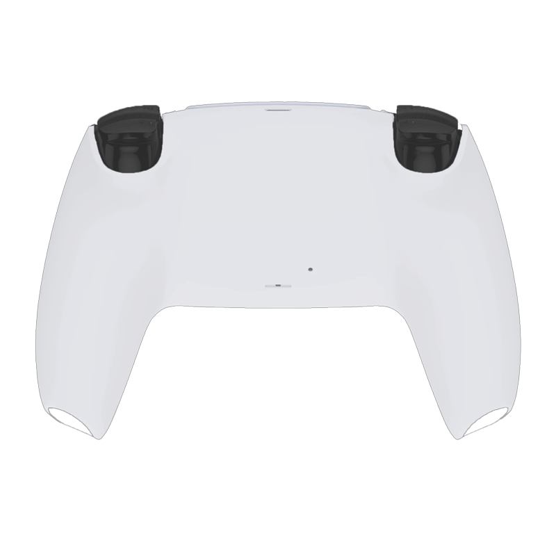 $100 Bill - Custom PS5 Controller